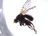  ( - BJ266)  @12 [ ] CreativeCommons - Attribution Non-Commercial Share-Alike (2011) NTNU Museum of Natural History and Archaeology NTNU Museum of Natural History and Archaeology
