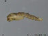  ( - BJ306)  @12 [ ] CreativeCommons - Attribution Non-Commercial Share-Alike (2011) NTNU Museum of Natural History and Archaeology NTNU Museum of Natural History and Archaeology