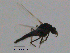  ( - GL59)  @12 [ ] CreativeCommons - Attribution Non-Commercial Share-Alike (2011) NTNU Museum of Natural History and Archaeology NTNU Museum of Natural History and Archaeology
