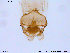  ( - SV112)  @12 [ ] CreativeCommons - Attribution Non-Commercial Share-Alike (2013) NTNU Museum of Natural History and Archaeology NTNU Museum of Natural History and Archaeology