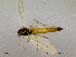  ( - SV206)  @13 [ ] CreativeCommons - Attribution Non-Commercial Share-Alike (2010) Unspecified NTNU Museum of Natural History and Archaeology
