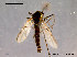  ( - SV249)  @13 [ ] CreativeCommons - Attribution Non-Commercial Share-Alike (2010) Unspecified NTNU Museum of Natural History and Archaeology