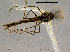  ( - SV257)  @13 [ ] CreativeCommons - Attribution Non-Commercial Share-Alike (2010) Unspecified NTNU Museum of Natural History and Archaeology