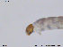  ( - SV473)  @12 [ ] CreativeCommons - Attribution Non-Commercial Share-Alike (2013) NTNU Museum of Natural History and Archaeology NTNU Museum of Natural History and Archaeology