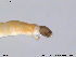  ( - SV476)  @12 [ ] CreativeCommons - Attribution Non-Commercial Share-Alike (2013) NTNU Museum of Natural History and Archaeology NTNU Museum of Natural History and Archaeology