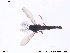  ( - SV492)  @12 [ ] CreativeCommons - Attribution Non-Commercial Share-Alike (2013) NTNU Museum of Natural History and Archaeology NTNU Museum of Natural History and Archaeology