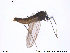  ( - SV506)  @12 [ ] CreativeCommons - Attribution Non-Commercial Share-Alike (2013) NTNU Museum of Natural History and Archaeology NTNU Museum of Natural History and Archaeology