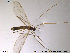  ( - SV541)  @12 [ ] CreativeCommons - Attribution Non-Commercial Share-Alike (2011) NTNU Museum of Natural History and Archaeology NTNU Museum of Natural History and Archaeology
