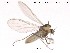  ( - SV 678)  @13 [ ] CreativeCommons - Attribution Non-Commercial Share-Alike (2013) NTNU Museum of Natural History and Archaeology NTNU Museum of Natural History and Archaeology