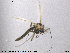 ( - SV 702)  @12 [ ] CreativeCommons - Attribution Non-Commercial Share-Alike (2013) NTNU Museum of Natural History and Archaeology NTNU Museum of Natural History and Archaeology