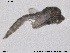  ( - SV 711)  @12 [ ] CreativeCommons - Attribution Non-Commercial Share-Alike (2013) NTNU Museum of Natural History and Archaeology NTNU Museum of Natural History and Archaeology