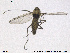  ( - SV 724)  @12 [ ] CreativeCommons - Attribution Non-Commercial Share-Alike (2013) NTNU Museum of Natural History and Archaeology NTNU Museum of Natural History and Archaeology