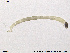  ( - SV 744)  @12 [ ] CreativeCommons - Attribution Non-Commercial Share-Alike (2013) NTNU Museum of Natural History and Archaeology NTNU Museum of Natural History and Archaeology