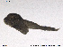  ( - SV 770)  @12 [ ] CreativeCommons - Attribution Non-Commercial Share-Alike (2013) NTNU Museum of Natural History and Archaeology NTNU Museum of Natural History and Archaeology