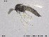  ( - SV 798)  @12 [ ] CreativeCommons - Attribution Non-Commercial Share-Alike (2013) NTNU Museum of Natural History and Archaeology NTNU Museum of Natural History and Archaeology