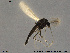  ( - SV 825)  @12 [ ] CreativeCommons - Attribution Non-Commercial Share-Alike (2013) NTNU Museum of Natural History and Archaeology NTNU Museum of Natural History and Archaeology