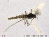  ( - SV 829)  @12 [ ] CreativeCommons - Attribution Non-Commercial Share-Alike (2013) NTNU Museum of Natural History and Archaeology NTNU Museum of Natural History and Archaeology