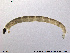  ( - SV 835)  @12 [ ] CreativeCommons - Attribution Non-Commercial Share-Alike (2013) NTNU Museum of Natural History and Archaeology NTNU Museum of Natural History and Archaeology