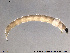  ( - SV 837)  @12 [ ] CreativeCommons - Attribution Non-Commercial Share-Alike (2013) NTNU Museum of Natural History and Archaeology NTNU Museum of Natural History and Archaeology