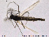  ( - SV 854)  @13 [ ] CreativeCommons - Attribution Non-Commercial Share-Alike (2013) NTNU Museum of Natural History and Archaeology NTNU Museum of Natural History and Archaeology