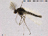  ( - SV 862)  @12 [ ] CreativeCommons - Attribution Non-Commercial Share-Alike (2013) NTNU Museum of Natural History and Archaeology NTNU Museum of Natural History and Archaeology