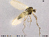  ( - SV 863)  @12 [ ] CreativeCommons - Attribution Non-Commercial Share-Alike (2013) NTNU Museum of Natural History and Archaeology NTNU Museum of Natural History and Archaeology