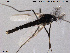  ( - SV 889)  @13 [ ] CreativeCommons - Attribution Non-Commercial Share-Alike (2013) NTNU Museum of Natural History and Archaeology NTNU Museum of Natural History and Archaeology