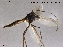  ( - SV 892)  @13 [ ] CreativeCommons - Attribution Non-Commercial Share-Alike (2013) NTNU Museum of Natural History and Archaeology NTNU Museum of Natural History and Archaeology