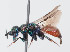  ( - PRC_00674)  @11 [ ] CreativeCommons  Attribution Non-Commercial Share-Alike (2024) Paolo Rosa University of Mons
