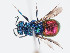  ( - PRC_00675)  @11 [ ] CreativeCommons  Attribution Non-Commercial Share-Alike (2024) Paolo Rosa University of Mons