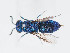  ( - PRC_00685)  @11 [ ] CreativeCommons  Attribution Non-Commercial Share-Alike (2024) Paolo Rosa University of Mons