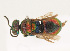  ( - PRC_01050)  @11 [ ] CreativeCommons  Attribution Non-Commercial Share-Alike (2024) Paolo Rosa University of Mons
