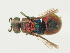 ( - PRC_01077)  @11 [ ] CreativeCommons  Attribution Non-Commercial Share-Alike (2024) Paolo Rosa University of Mons