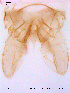  ( - SOE106)  @12 [ ] CreativeCommons - Attribution Non-Commercial Share-Alike (2010) NTNU Museum of Natural History and Archaeology NTNU Museum of Natural History and Archaeology
