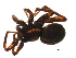  ( - CHU-SPI-121)  @12 [ ] Copyright  G. Blagoev 2009 Unspecified