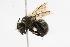 ( - CHU05-BEE-002)  @13 [ ] Unspecified (default): All Rights Reserved  Unspecified Unspecified