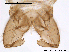 ( - CHIR_CH114)  @12 [ ] CreativeCommons - Attribution Non-Commercial Share-Alike (2010) Unspecified NTNU Museum of Natural History and Archaeology
