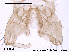  ( - CHIR_CH169)  @12 [ ] CreativeCommons - Attribution Non-Commercial Share-Alike (2010) Unspecified NTNU Museum of Natural History and Archaeology