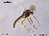  ( - CHIR_CH570)  @13 [ ] CreativeCommons - Attribution Non-Commercial Share-Alike (2010) Unspecified NTNU Museum of Natural History and Archaeology