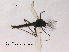  ( - CHIR_CH600)  @12 [ ] CreativeCommons - Attribution Non-Commercial Share-Alike (2010) Unspecified NTNU Museum of Natural History and Archaeology