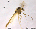  ( - CHIR_CH620)  @14 [ ] CreativeCommons - Attribution Non-Commercial Share-Alike (2010) Unspecified NTNU Museum of Natural History and Archaeology