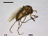  ( - CHIR_CH624)  @13 [ ] CreativeCommons - Attribution Non-Commercial Share-Alike (2010) Unspecified NTNU Museum of Natural History and Archaeology