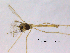  ( - CHIR_CH632)  @12 [ ] CreativeCommons - Attribution Non-Commercial Share-Alike (2010) Unspecified NTNU Museum of Natural History and Archaeology