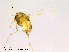  ( - CHIR_CH633)  @11 [ ] CreativeCommons - Attribution Non-Commercial Share-Alike (2010) Unspecified NTNU Museum of Natural History and Archaeology