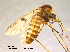  ( - CHIR_CH635)  @13 [ ] CreativeCommons - Attribution Non-Commercial Share-Alike (2010) Unspecified NTNU Museum of Natural History and Archaeology