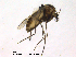  ( - CHIR_CH643)  @13 [ ] CreativeCommons - Attribution Non-Commercial Share-Alike (2010) Unspecified NTNU Museum of Natural History and Archaeology