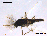  ( - CHIR_CH649)  @12 [ ] CreativeCommons - Attribution Non-Commercial Share-Alike (2010) Unspecified NTNU Museum of Natural History and Archaeology