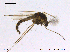  ( - CHIR_CH654)  @14 [ ] CreativeCommons - Attribution Non-Commercial Share-Alike (2010) Unspecified NTNU Museum of Natural History and Archaeology