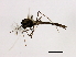  ( - HLC-26991)  @12 [ ] CreativeCommons - Attribution (2009) Unspecified Centre for Biodiversity Genomics