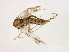  ( - HLC-26994)  @12 [ ] CreativeCommons - Attribution (2009) Unspecified Centre for Biodiversity Genomics